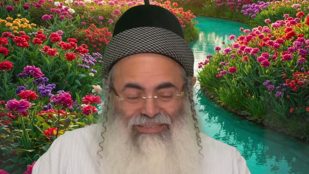 Humility and Excellence Part 2 | Rabbi Amnon Yitzhak.