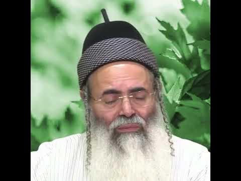Parashat Tetzaveh.  #rabbi