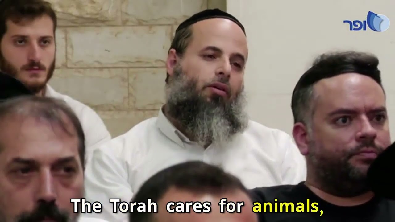 Haari Hakadosh: entire familiesare wiped out | Rabbi Amnon Yitzhak.