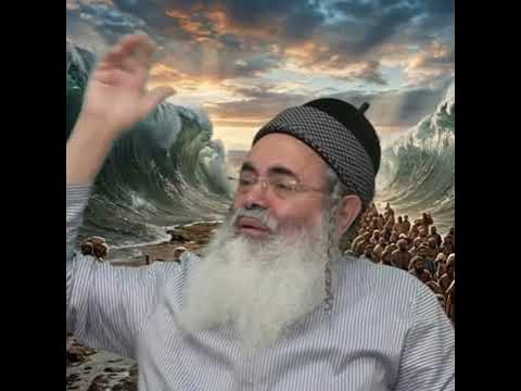 'The great hand' starts on October 7th.  #rabbi