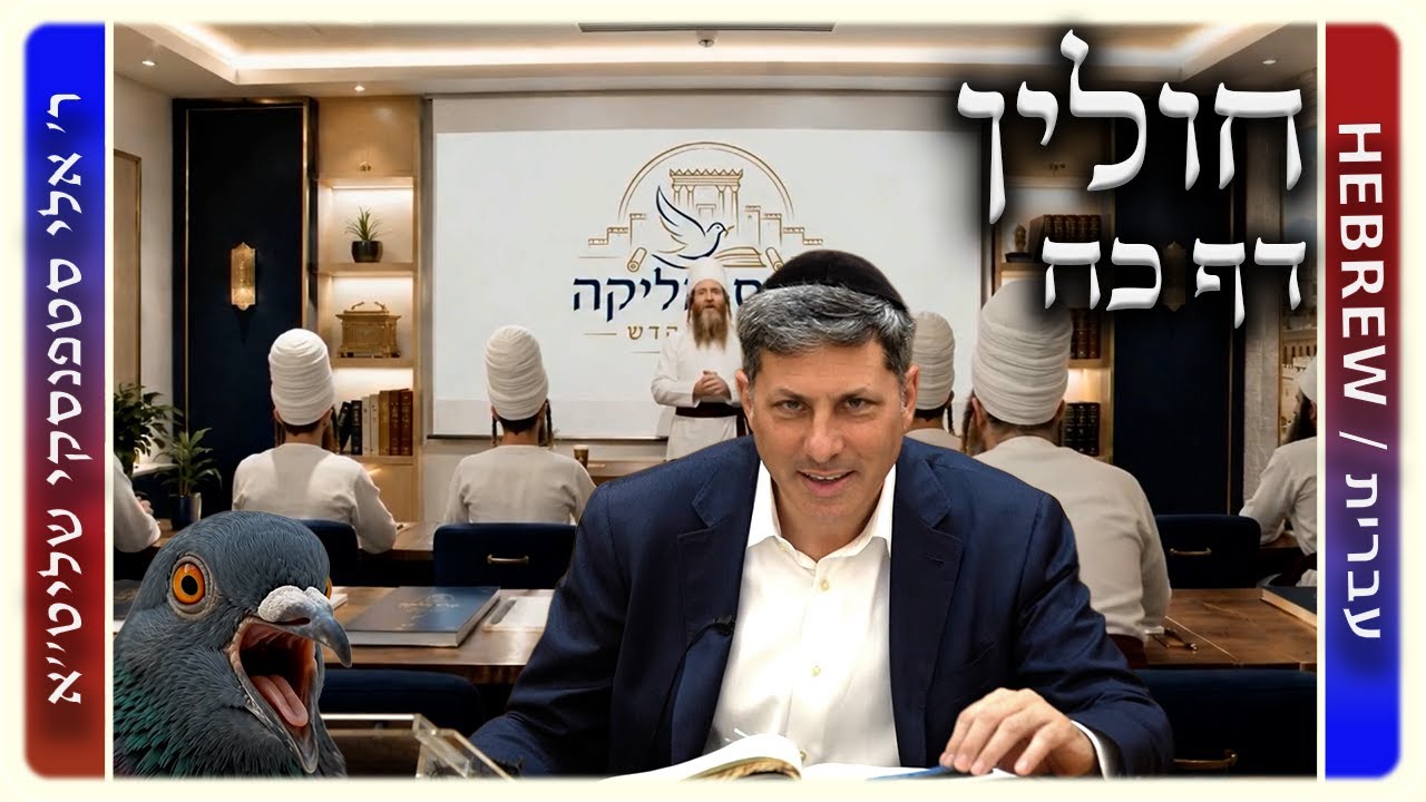 מרכז דף יומי - חולין דף כח. - ר' אלי סטפנסקי שליט"א