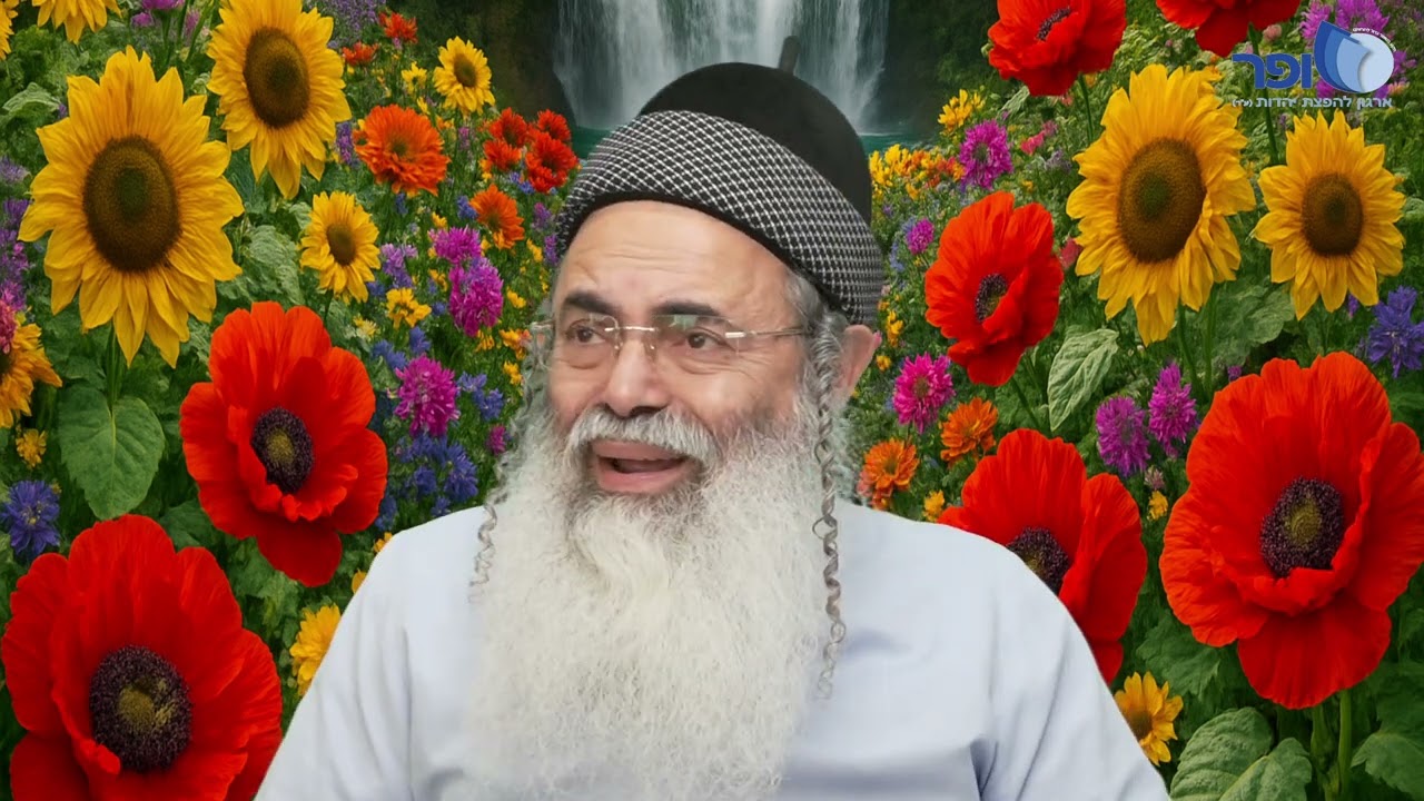 Insights and New Interpretations on Parashat Mishpatim Part 6 | Rabbi Amnon Yitzchak.