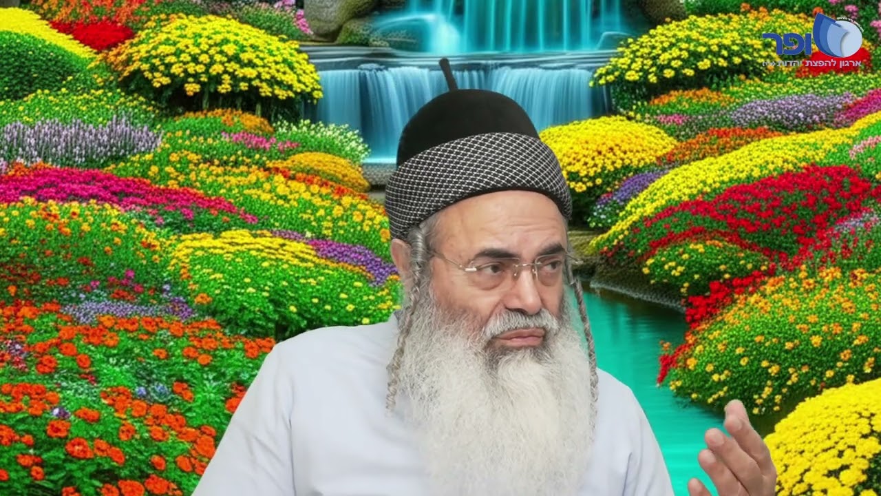 Insights and New Interpretations on Parashat Mishpatim Part 7 | Rabbi Amnon Yitzchak.