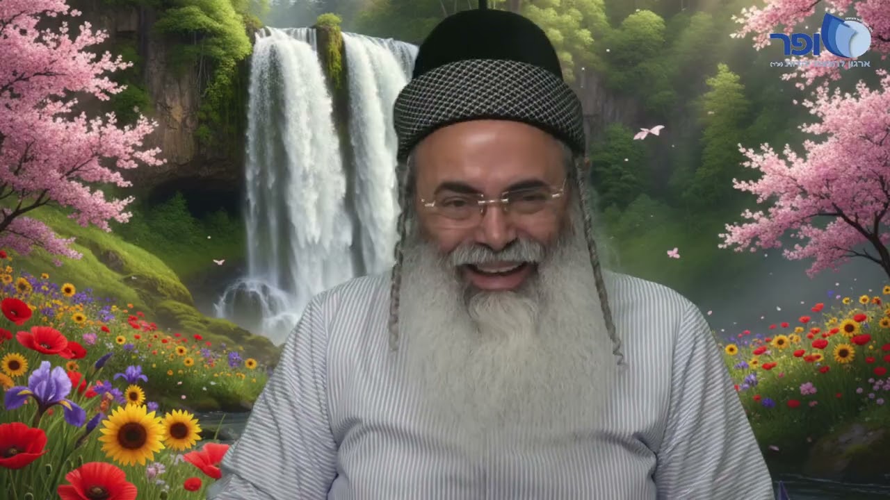 Insights and Innovations on Parashat Bo | Rabbi Amnon Yitzhak.