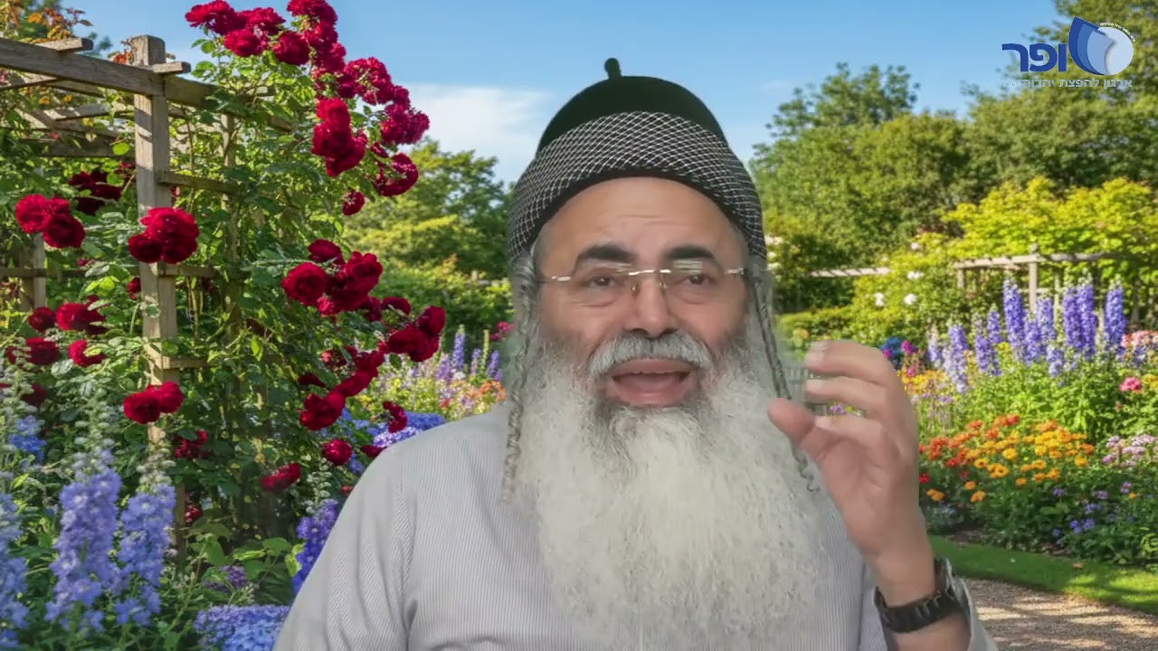Paraphrases and Insights on Parashat Vayigash Part 2 | Rabbi Amnon Yitzchak.