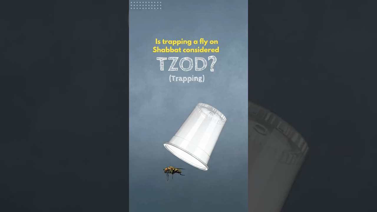 Tzod (Trapping) - Breaking Down the 39 Melachot