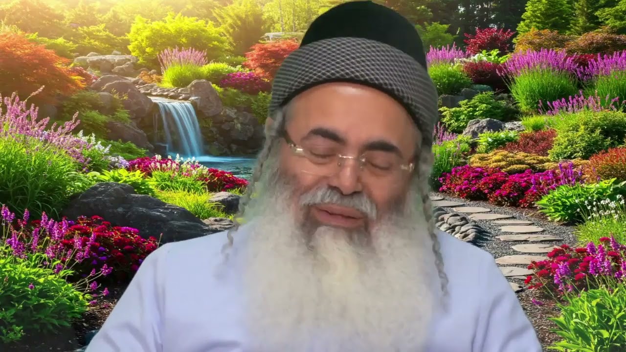 Humility and Excellence Part 7 | Rabbi Amnon Yitzhak.