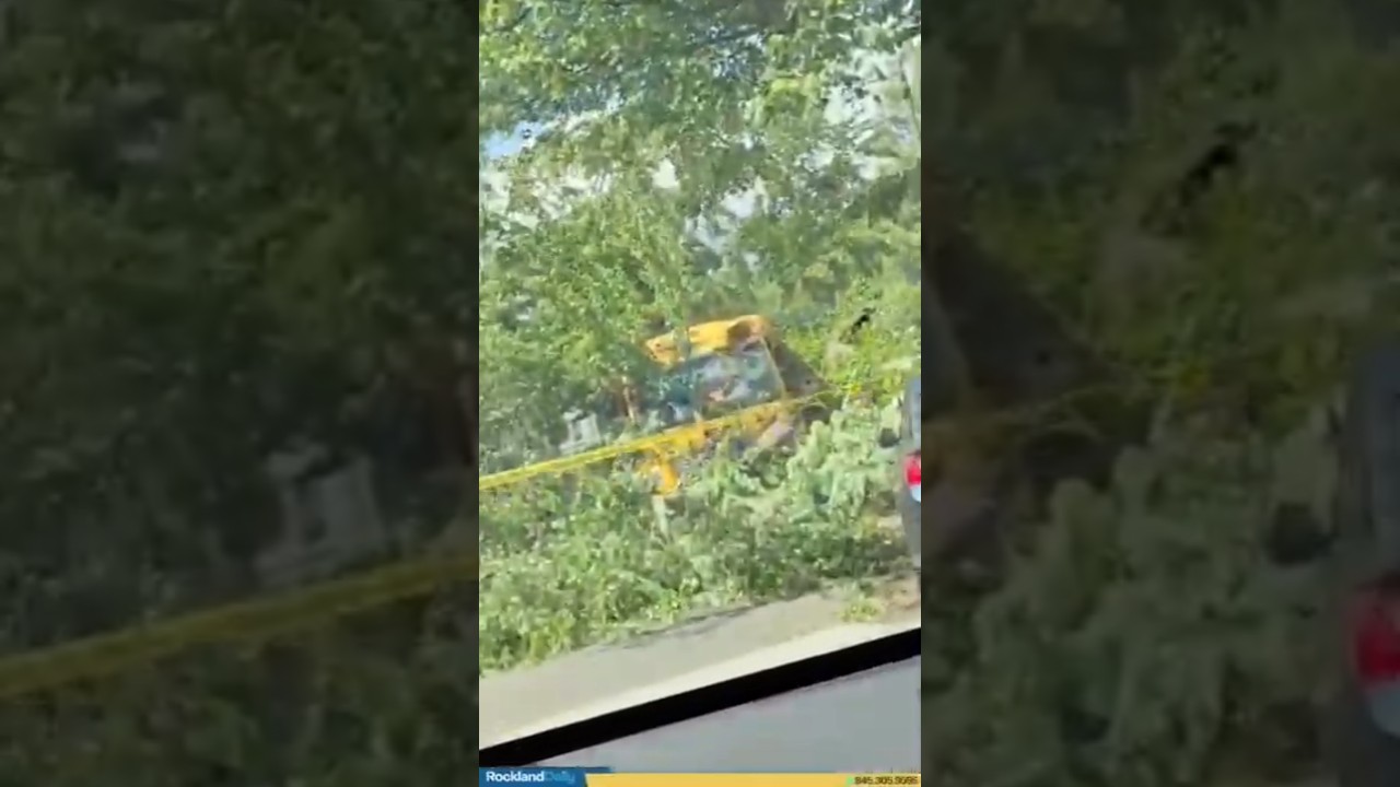 Tree fell onto a bus carrying children