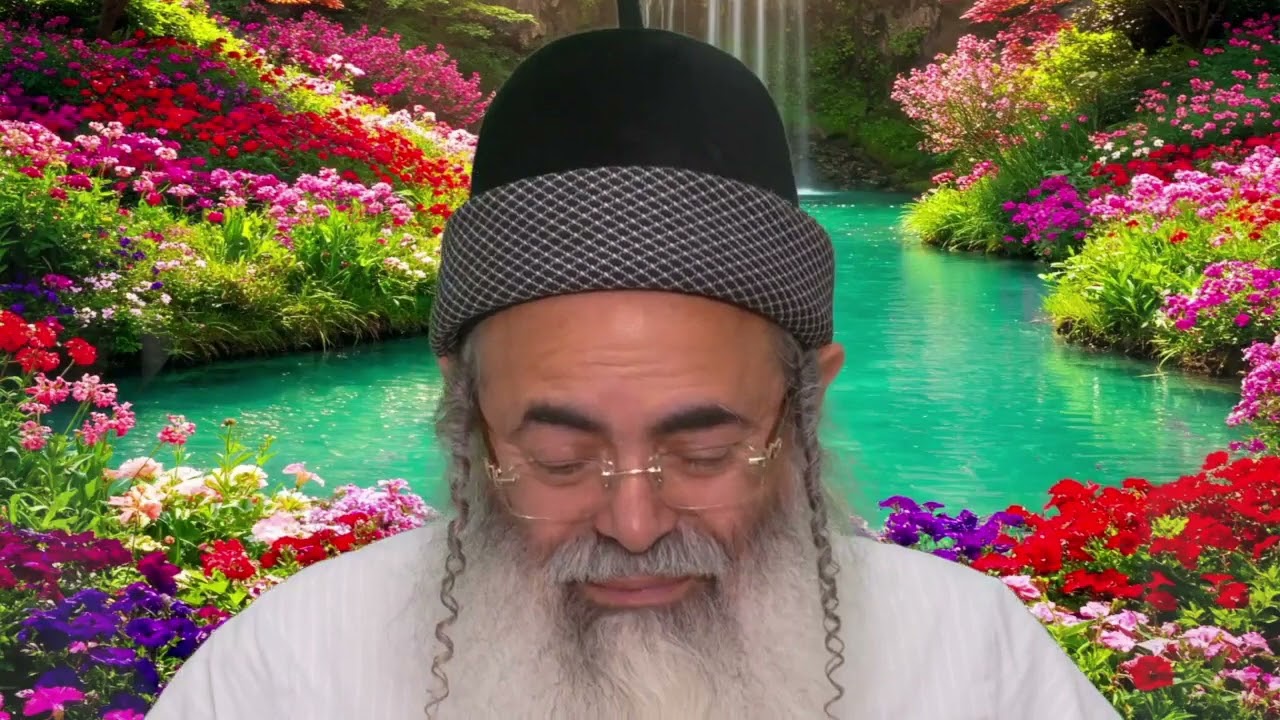 Humility and Excellence Part 3 | Rabbi Amnon Yitzhak.