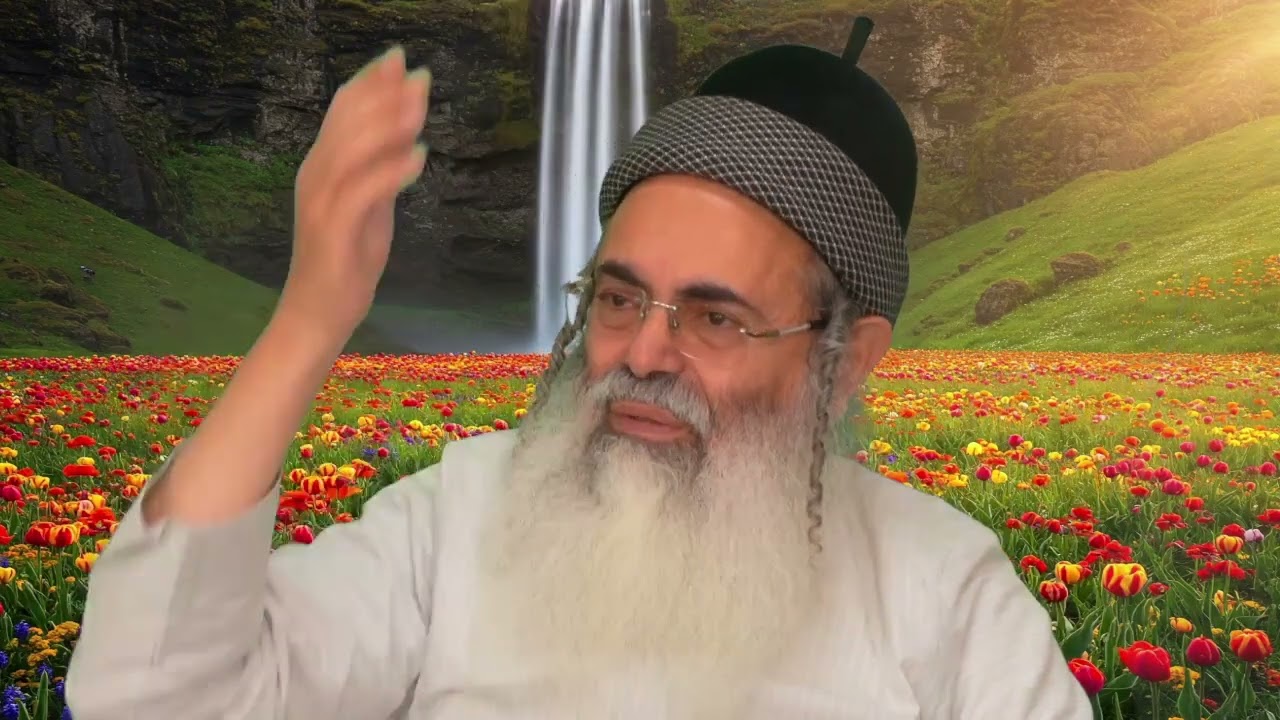Let's take stock | About Moses | Rabbi Amnon Yitzhak.