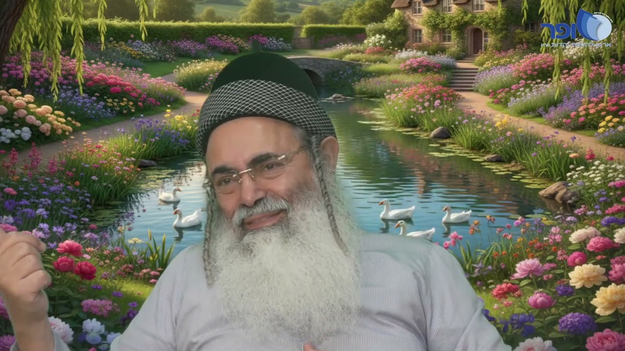 Paraphrases and Insights on Parashat Vayigash Part 3 | Rabbi Amnon Yitzchak.
