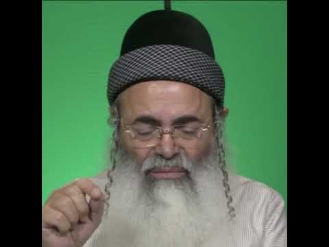 The frog and the snake | Rabbi Amnon Yitzhak.