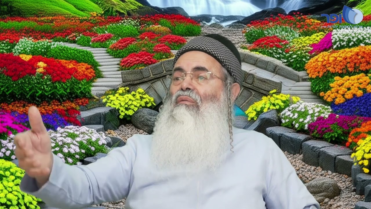 Insights and New Interpretations on Parashat Mishpatim Part 2 | Rabbi Amnon Yitzchak.