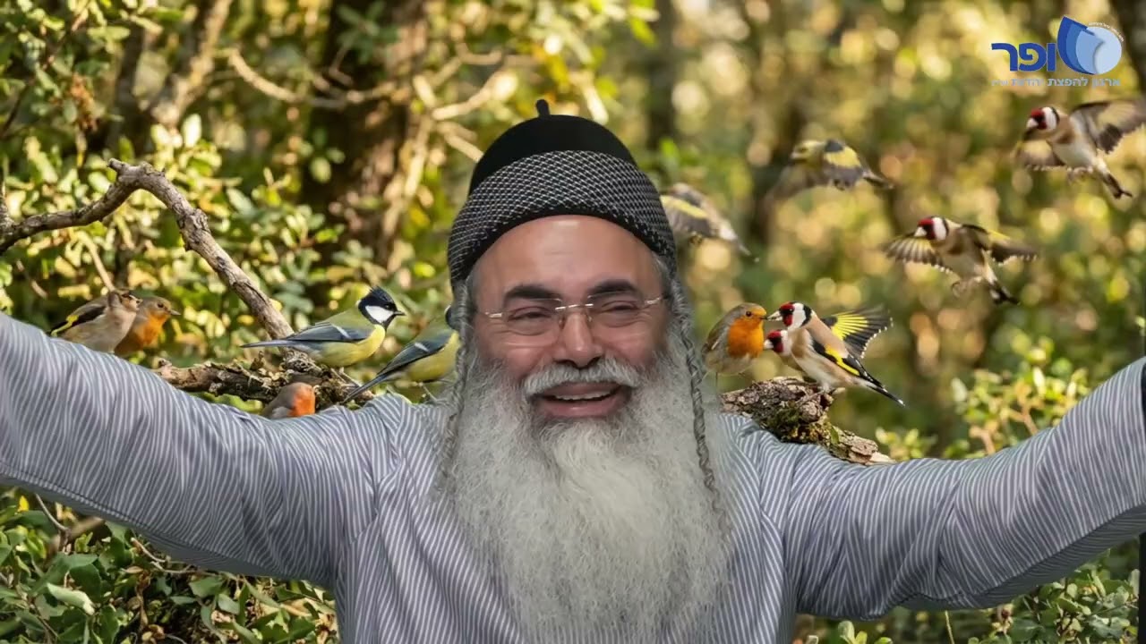 Butterflies and New Things for Passover Part 5 | Rabbi Amnon Yitzhak.