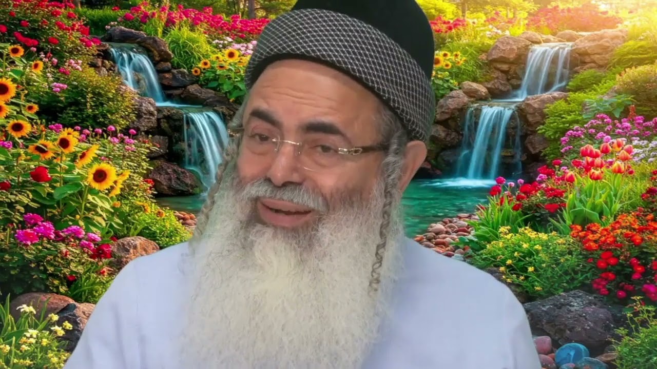 Humility and Excellence Part 5 | Rabbi Amnon Yitzhak.