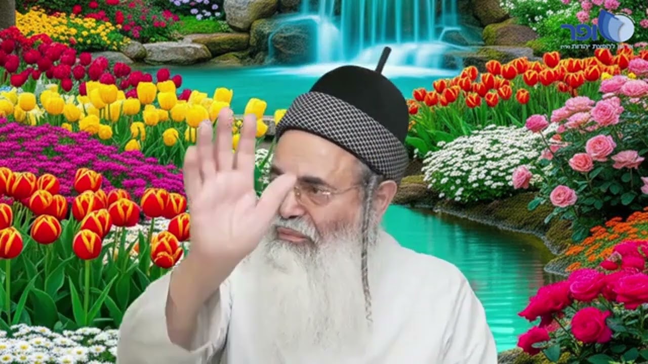 Parashat Mishpatim | Rabbi Amnon Yitzchak.