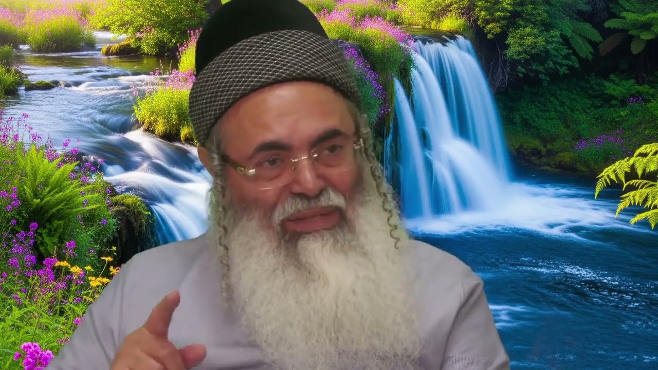 Humility | Rabbi Amnon Yitzchak.
