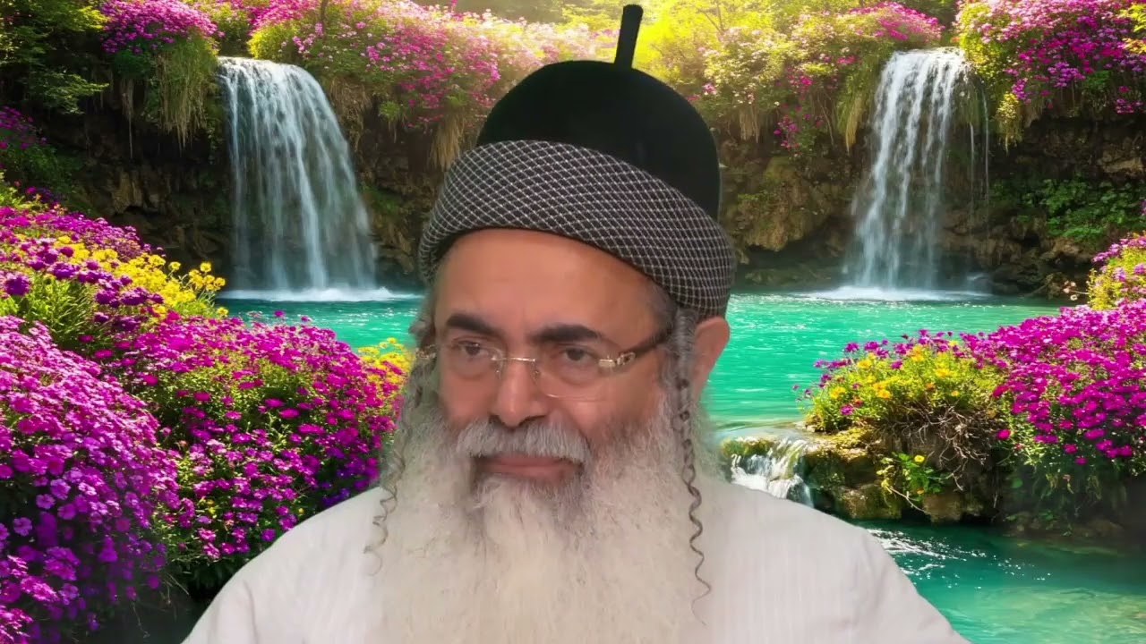 Humility and Excellence Part 4 | Rabbi Amnon Yitzhak.