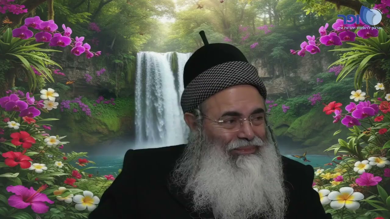 Levi vs. Greece | Rabbi Amnon Yitzhak.