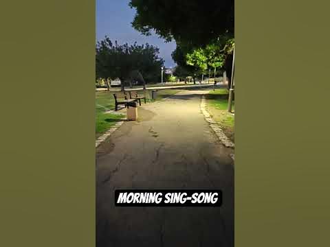 Morning sing-song