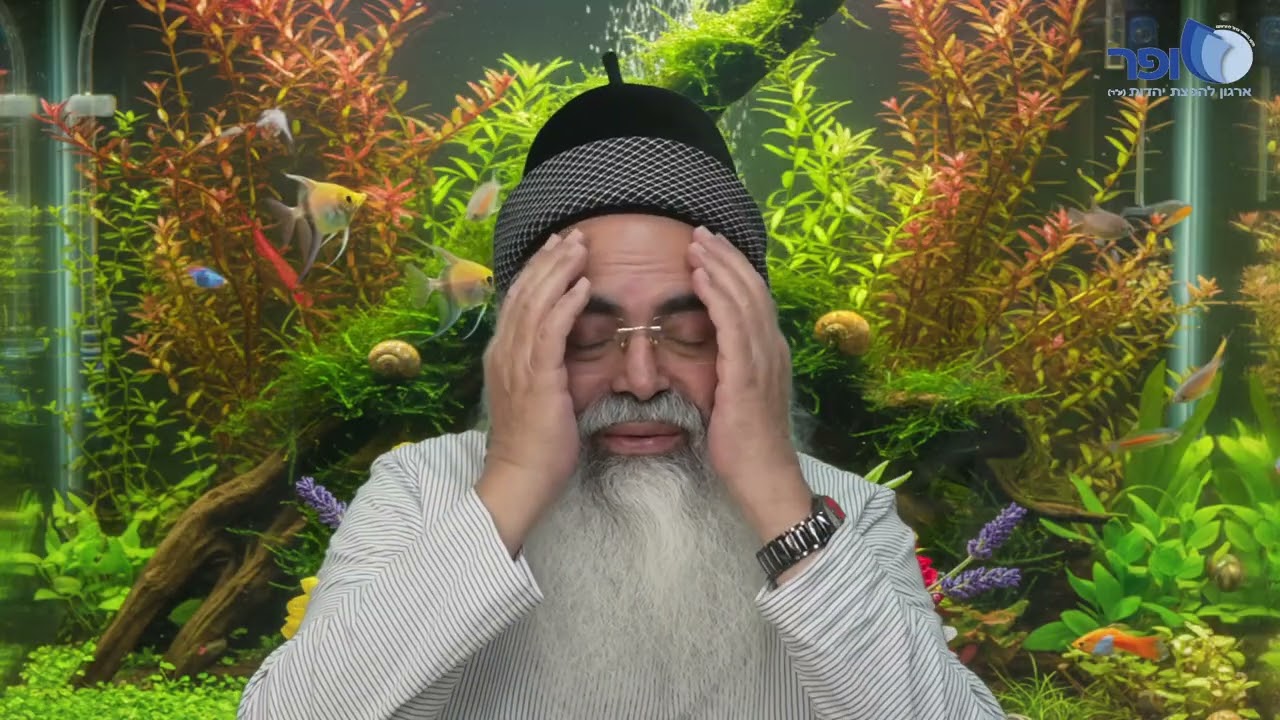 Insights and Novelties on Parashat Vayigash | Rabbi Amnon Yitzchak.