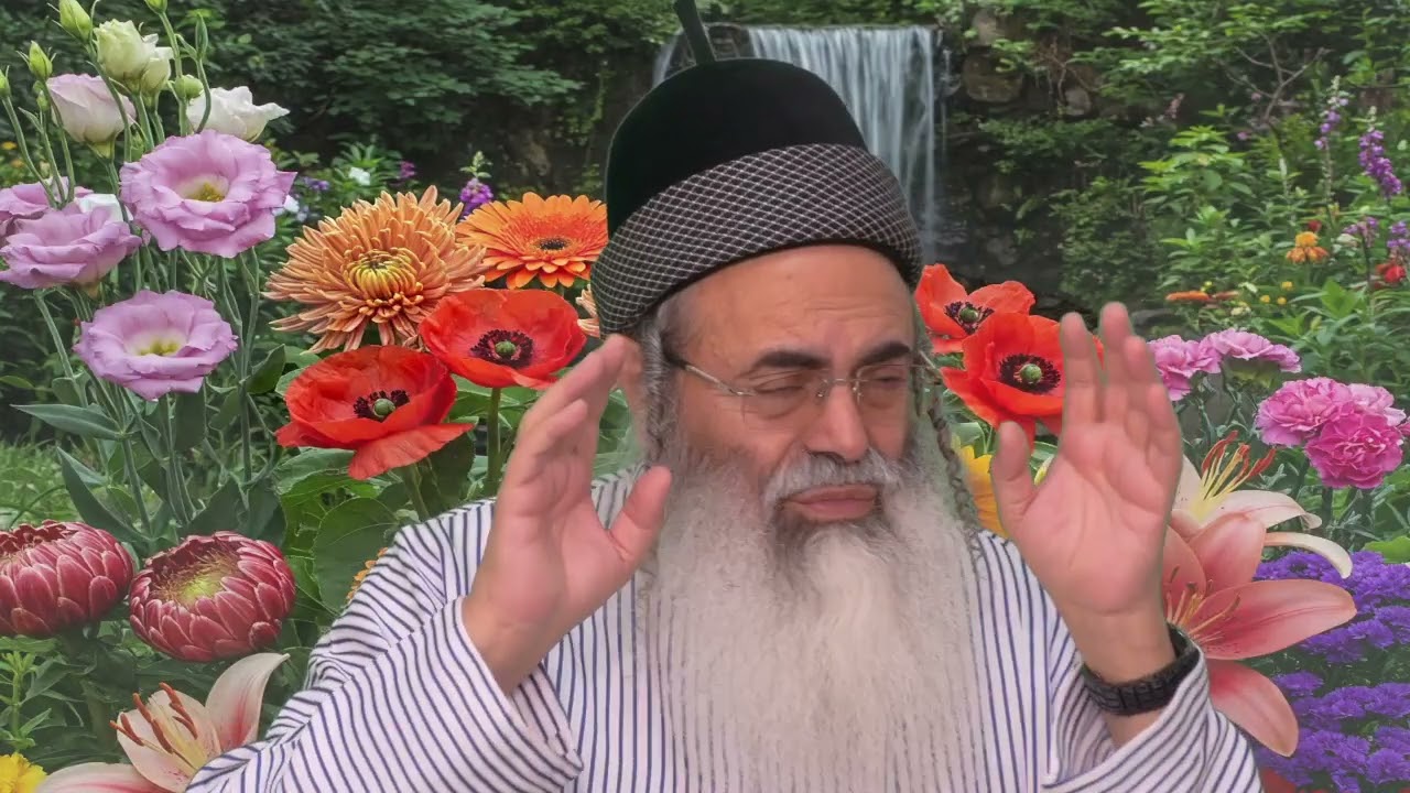 Wigs and circumcision are two witnesses | Rabbi Amnon Yitzhak.