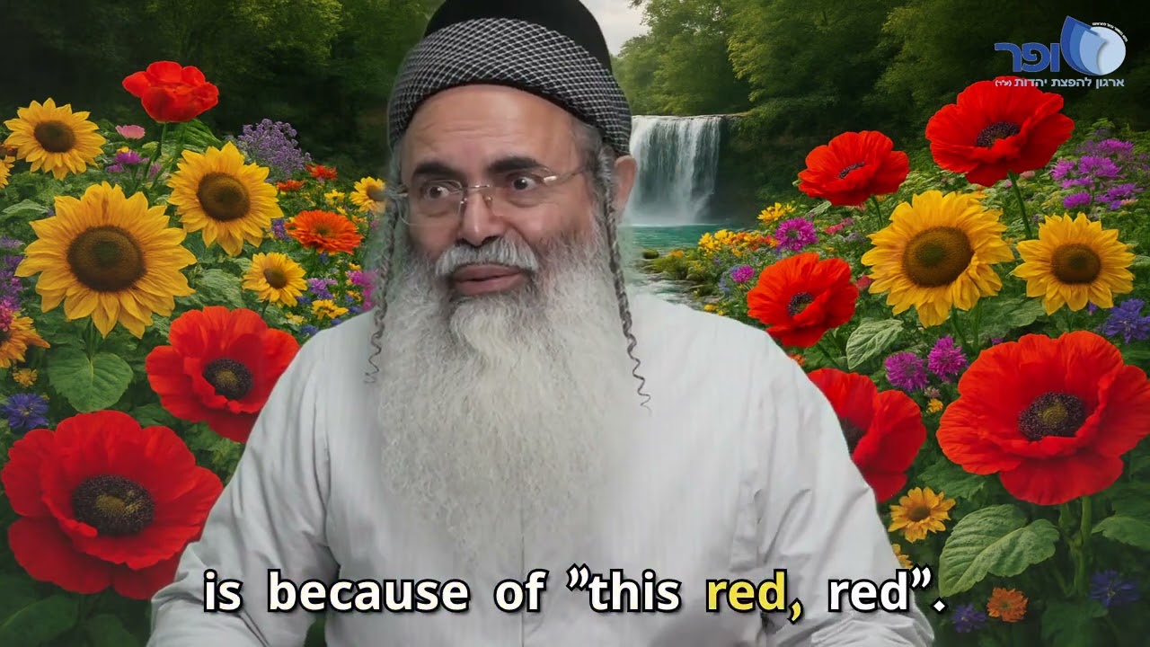 Why Esau is called 'Edom'? | Rabbi Amnon Yitzhak.