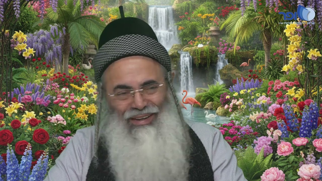 Paraphrases and Insights on Parashat Vayechi Part 1 | Rabbi Amnon Yitzchak.