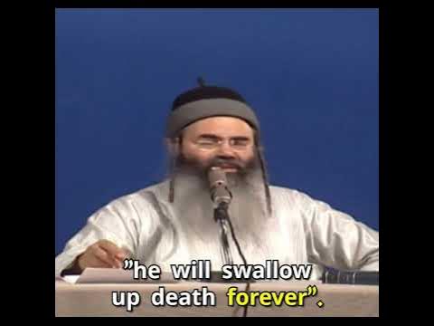 After the resurrection.  #rabbi #funny