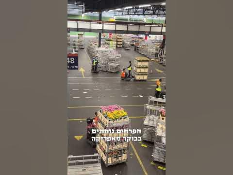 אל תקנו פרחים במחירים מופקעים