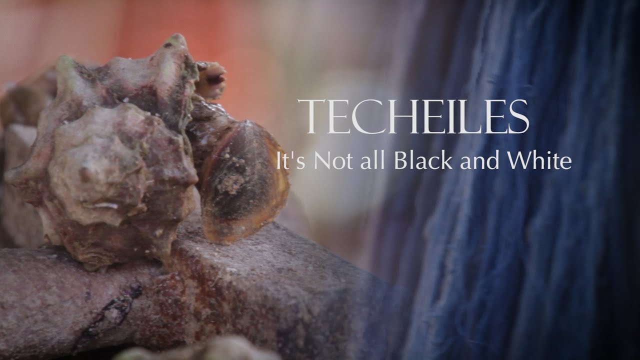 "Techeiles - It's not All Black & White" Trailer