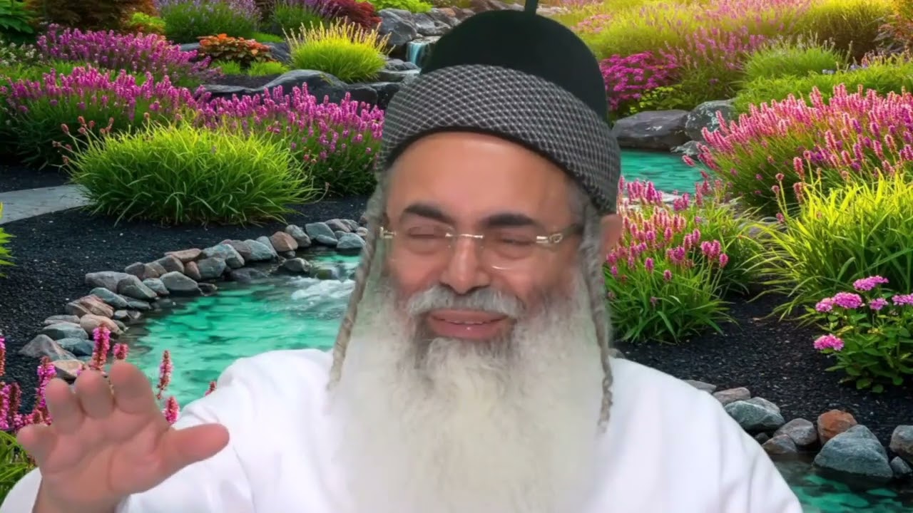 Humility and Excellence Part 6 | Rabbi Amnon Yitzhak.