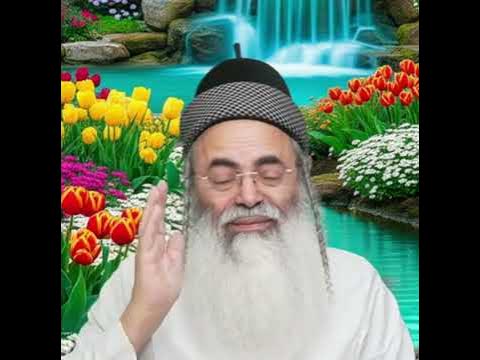 Parashat Mishpatim.  #rabbi #shabat