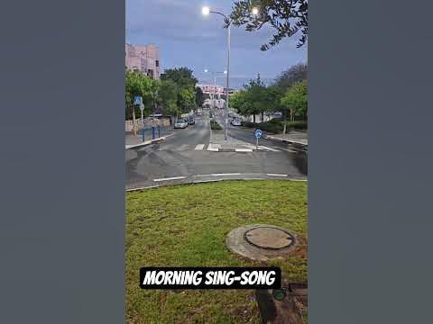 Morning sing-song