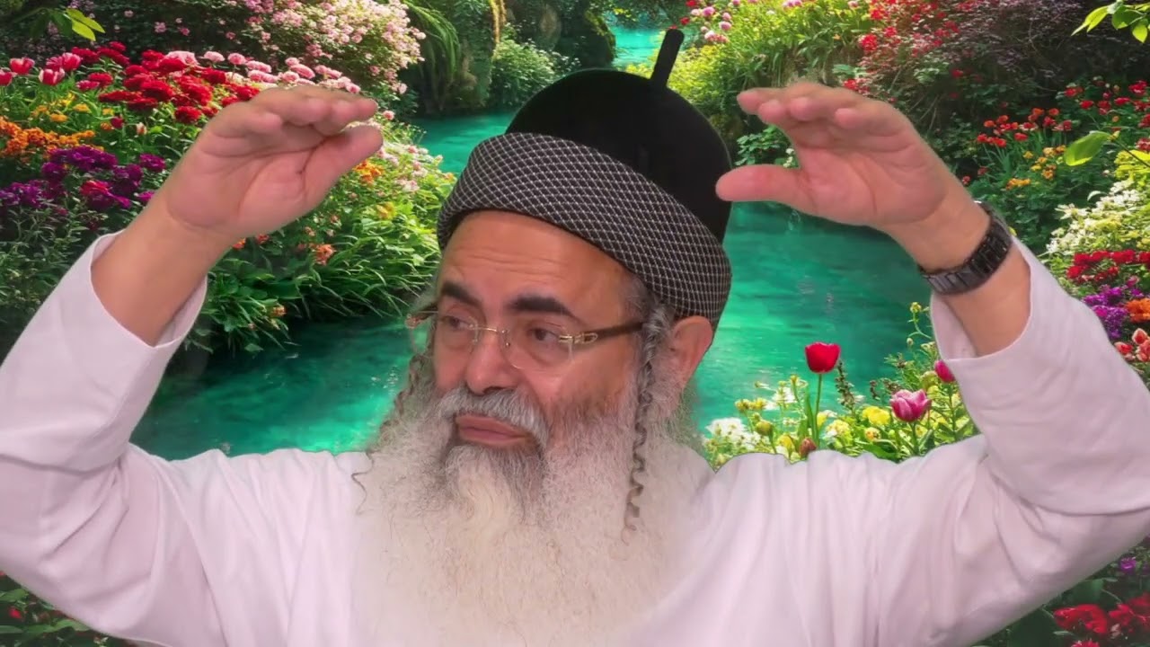 Humility and Excellence | Rabbi Amnon Yitzhak.