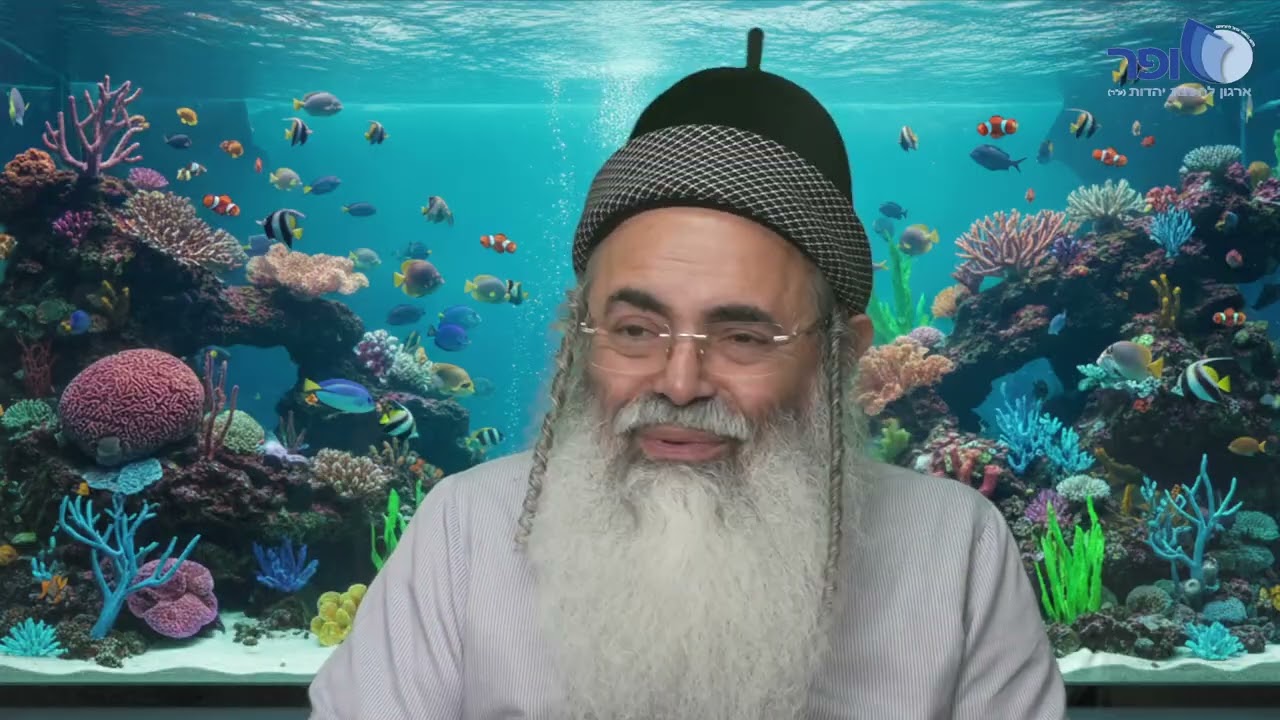 Paraphrases and Insights on Parashat Vayigash Part 4 | Rabbi Amnon Yitzchak.