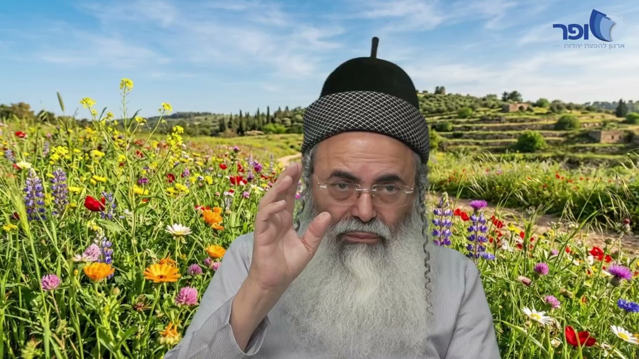 Butterflies and new arrivals for Parashat Ki Tisha Part 2 2026 | Rabbi Amnon Yitzchak.