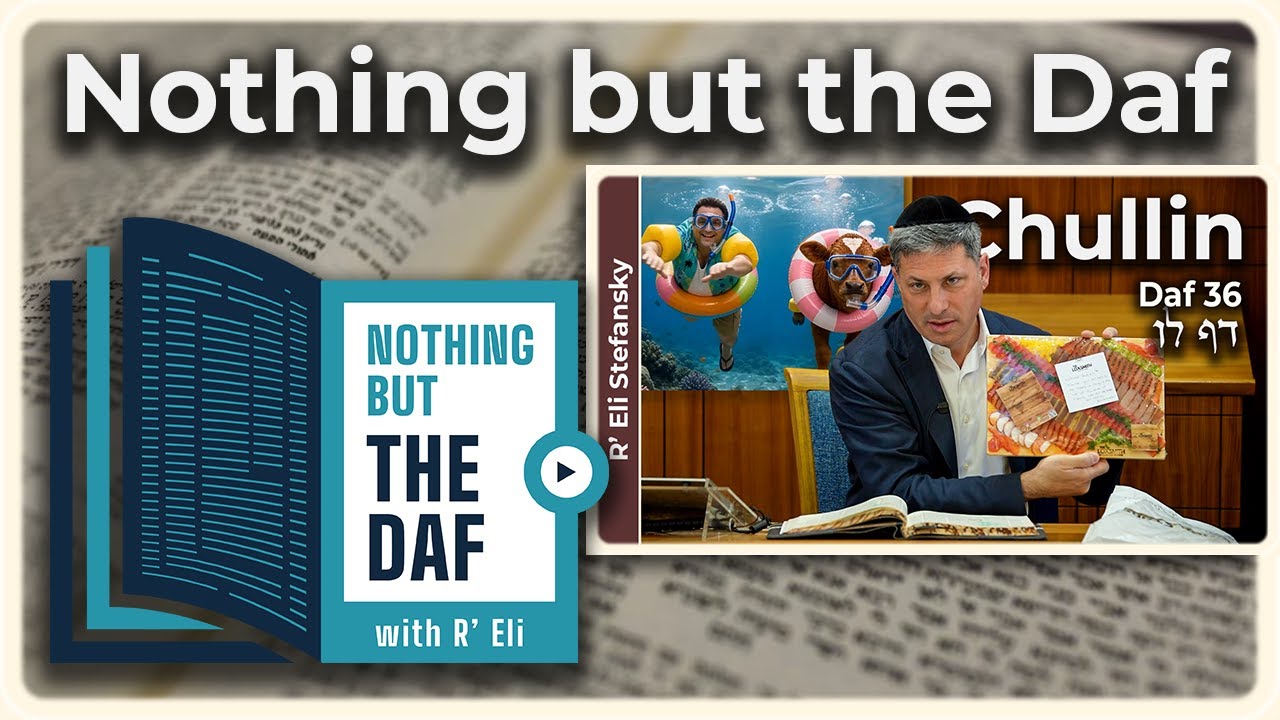 CHAZARAH - Chullin Daf 36 | "Nothing but the Daf" with R' Eli Stefansky