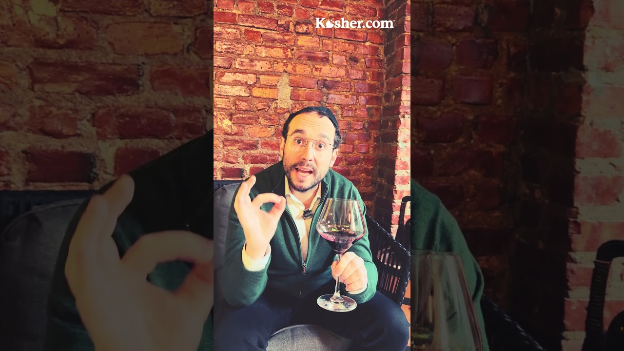 #WineWednesdayWisdom: Drink More Syrah/Shiraz