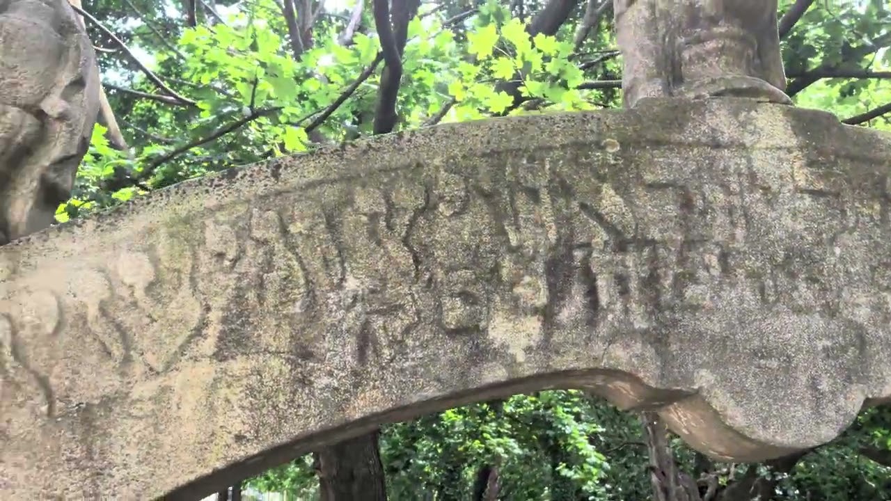 Bayside, Queens cemetery: Gate, Anshel Lubavitch & Niezhin, Rabbis Widerowitz & Wolfson- RCD #2