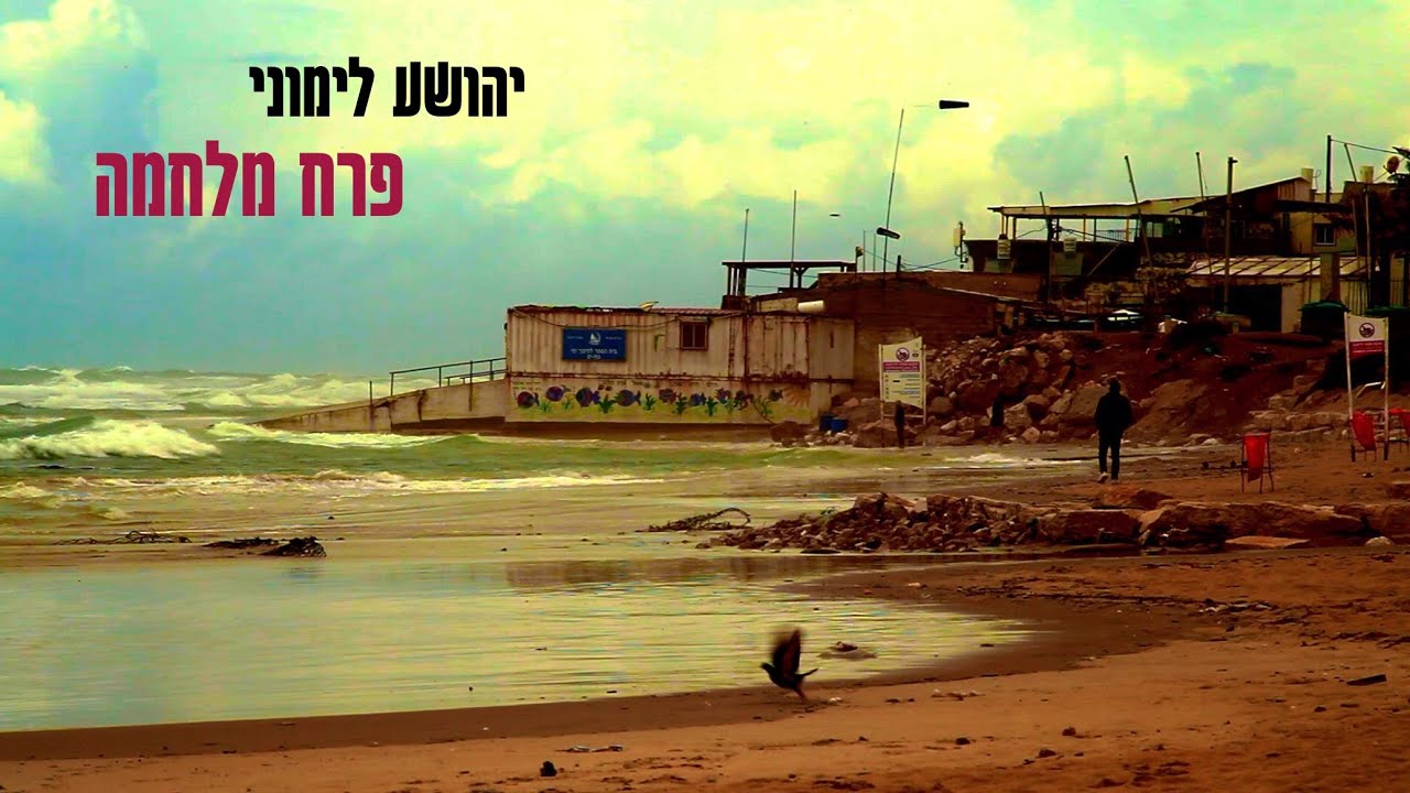 יהושע לימוני//פרח מלחמה
