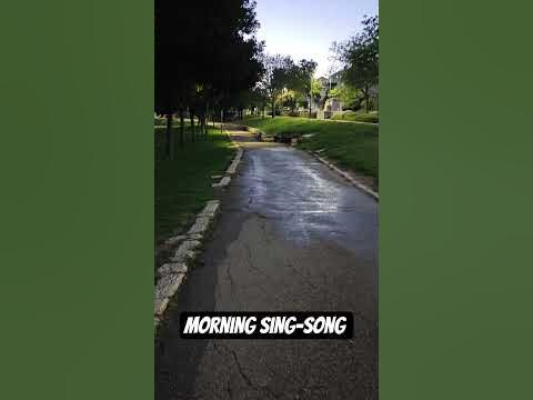Morning sing-song