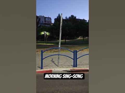 Morning sing-song