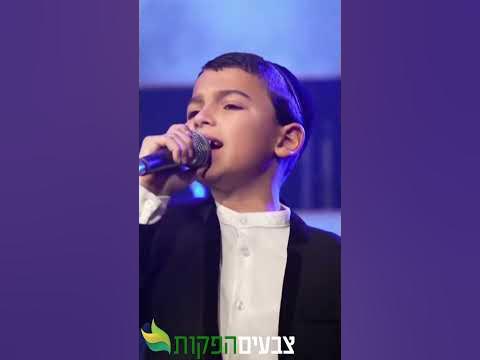 נדיר 😱 האחים עלאי ונתאי צרפתי מרגשים בהילולה המרכזית 💫