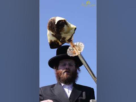 🔥 האדמו״ר מטשארנוביל בהדלקה במירון | Chernobyl Rebbe in Meron 🔥