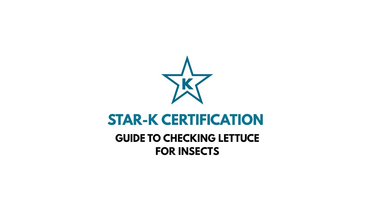 STAR-K Guide to Checking Lettuce for Insects