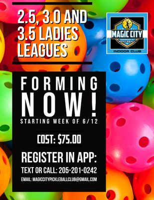 Magic City Pickleball Club thumbnail