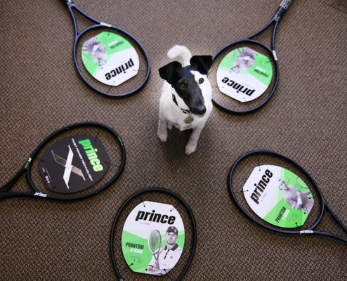 Guts & Glory Tennis thumbnail