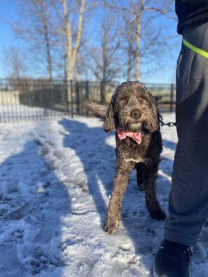 Lindsey duvall park thumbnail