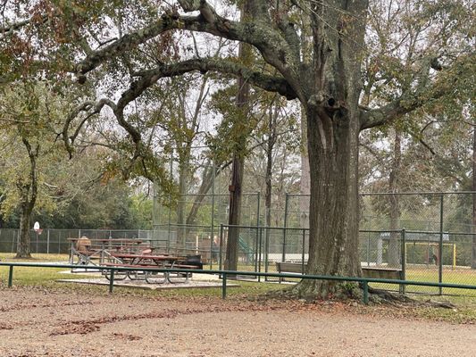 Drusilla Lane Park thumbnail